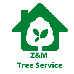 Z&M Tree Service