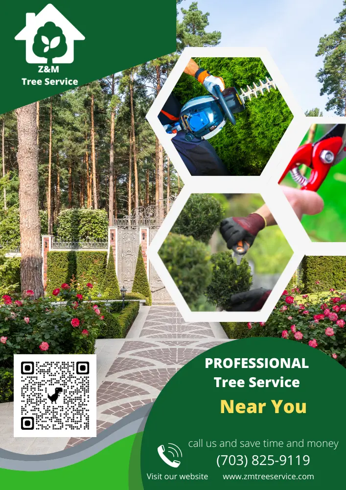Tree Service Near You